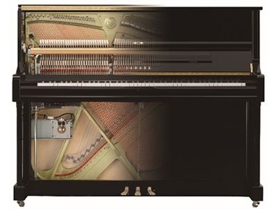 Il sistema ibrido per pianoforte TransAcoustic™ TA2
