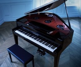 Suonare il pianoforte - liberando il pianista da tutti i limiti. E poi, la gioia di trasformare l'atto del suonare in qualcosa di nuovo ...