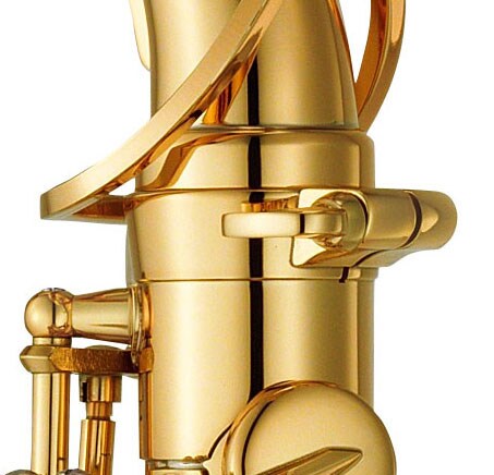 Immagine in evidenza