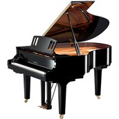 Immagine del prodotto C2X espressivo-SH3
