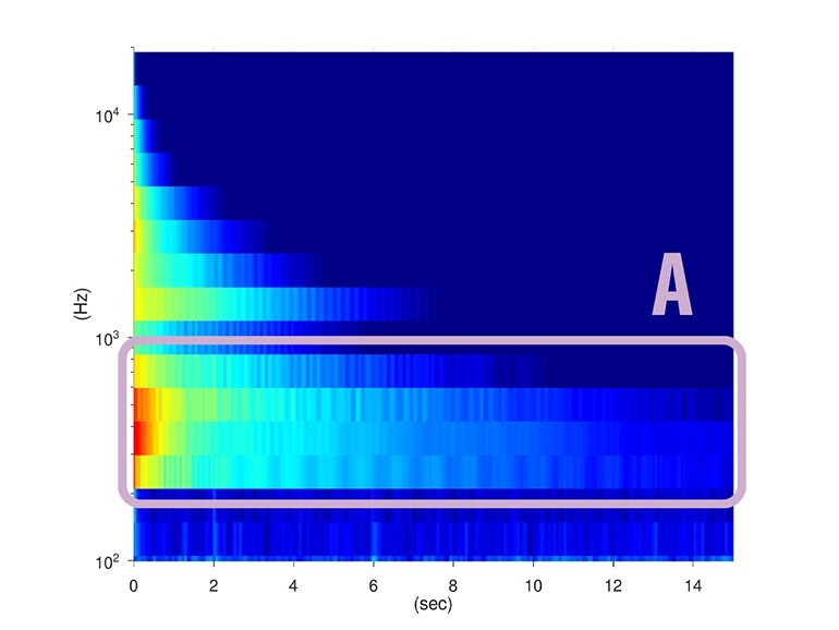 Caratteristiche acustiche con l'uso di rondelle SECW. Volume delle basse frequenze e sustain aumentati