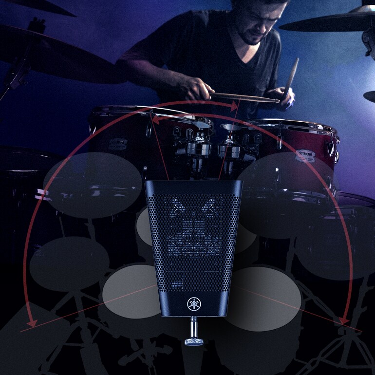 Immagine composita che illustra in modo intuitivo le caratteristiche e l’uso dell’EAD50