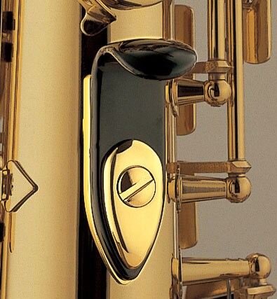 Immagine in evidenza