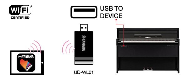 B. Connessione wireless utilizzando il Wi-Fi.*Varia a seconda della zona.