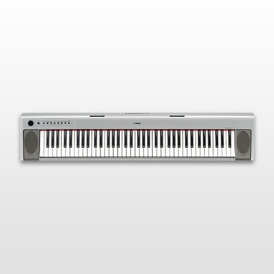 NP-31 - Panoramica - Portable Keyboards - Prodotti - Strumenti a