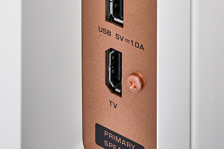 Rear view of the NX‑70A speaker showing the HDMI port