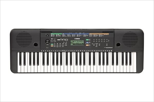 PSR-E253