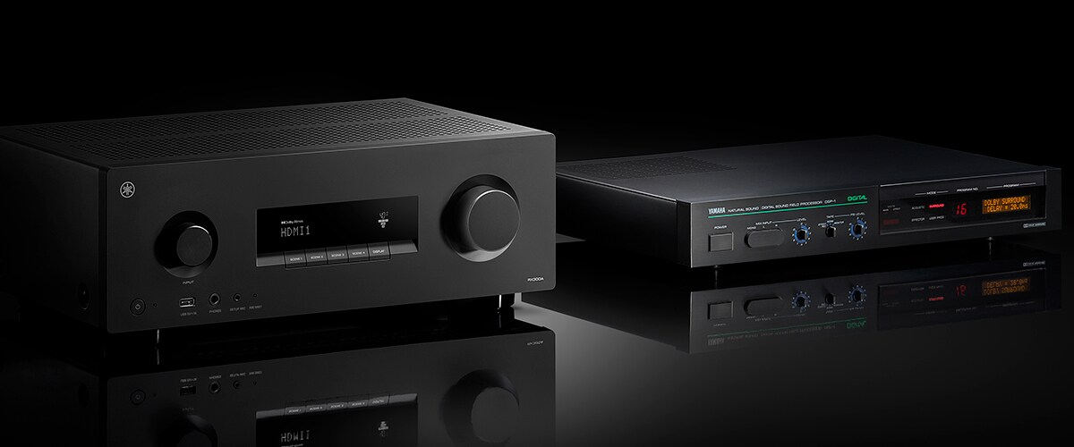 L’RX300A e il DSP-1.