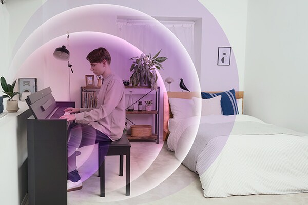 Onde sonore che si propagano da un pianoforte ARIUS