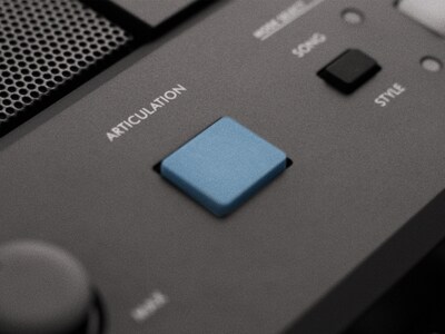 Immagine in evidenza del pulsante ARTICULATION PSR-E483