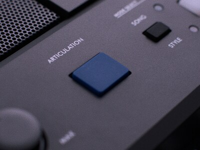 Immagine in evidenza del pulsante ARTICULATION PSR-E583