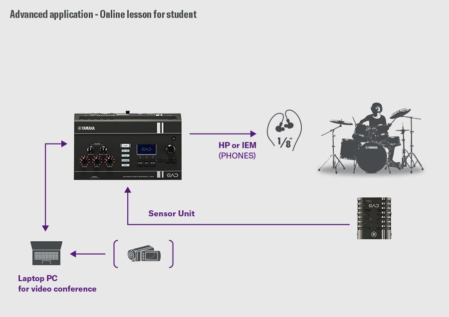 Diagramma che mostra l'EAD20 collegato a un computer o dispositivo smart per lezioni di batteria online.