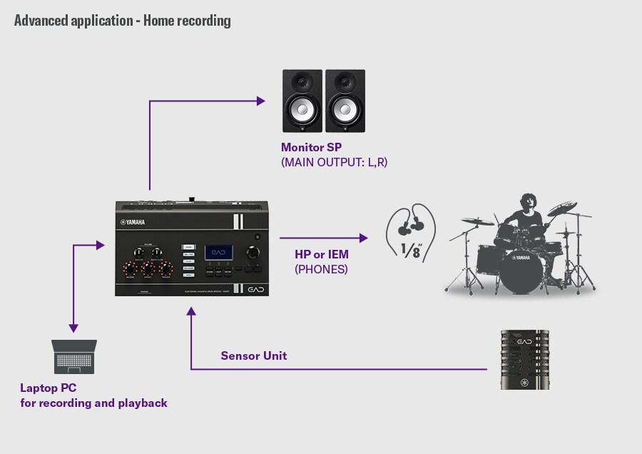 Diagramma che mostra l'EAD20 collegato a un sistema di registrazione basato su DAW per la produzione in home studio.