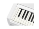 YDP-S36_Bianco_tastiera_sinistra