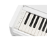 YDP-S56_Bianco_tastiera_sinistra