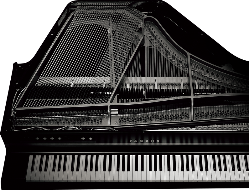 La ricerca di un suono degno del nome di pianoforte.