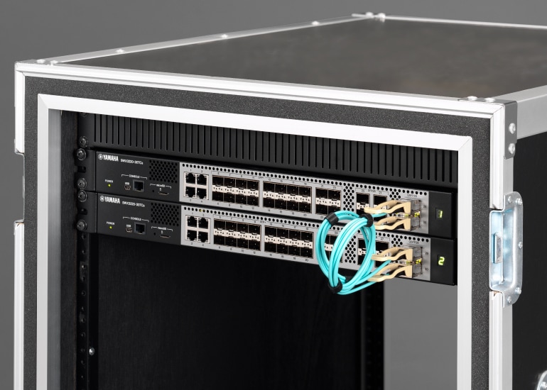 Supporto stacking 100GbE: gestione unificata di due unità