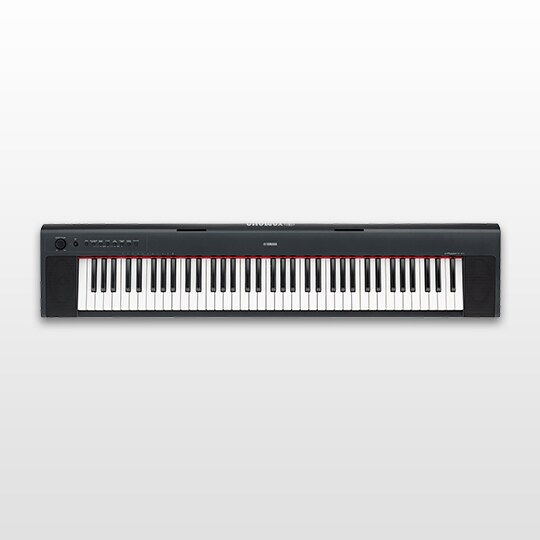 NP-31 - Panoramica - Portable Keyboards - Prodotti - Strumenti a