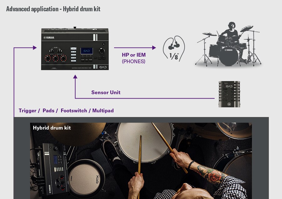 Diagramma che mostra una configurazione EAD20 espansa con pad e ingressi trigger aggiuntivi.