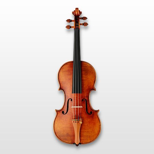 Acoustic Strings - Strings - Strumenti musicali - Prodotti
